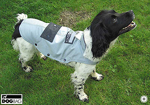 Dog Jackets by Dog Bag